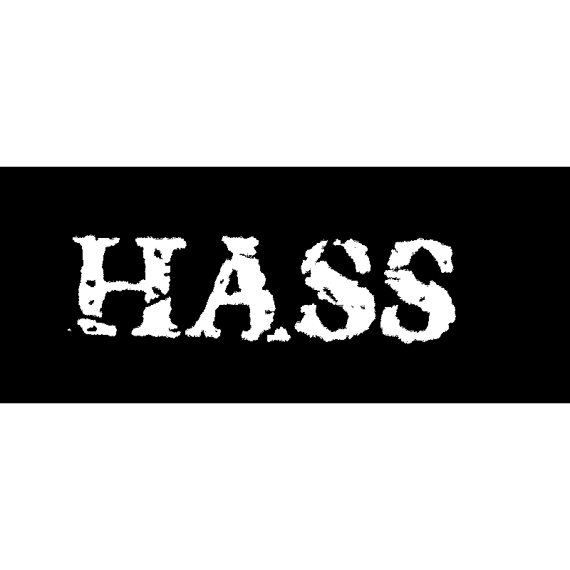 Aufnäher - Hass