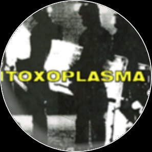Button Toxoplasma b