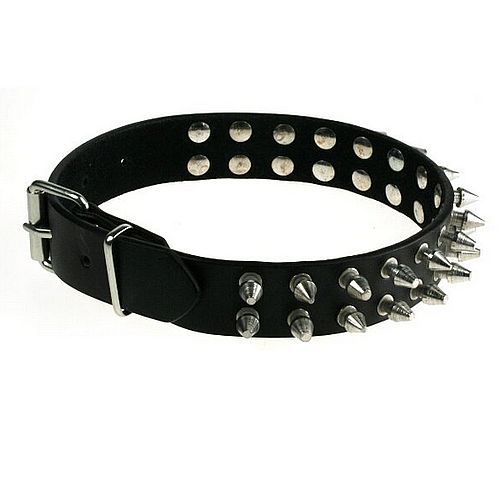 Halsband 2 reihig Killernieten